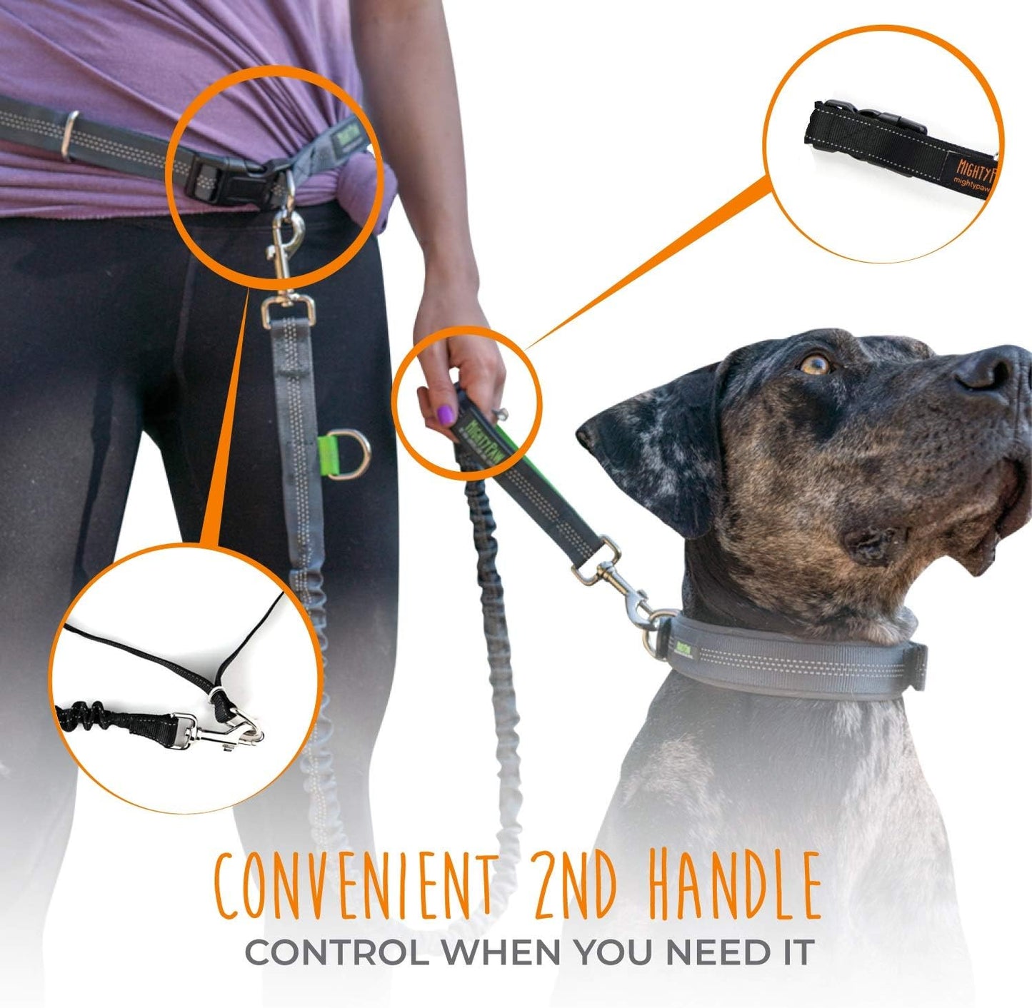 Hands-Free Bungee Dog Leash for Walking and Running - Adjustable Waist Belt (36" - 48") for Large, Medium & Small Breeds, Supports Up to 150 lbs - Black