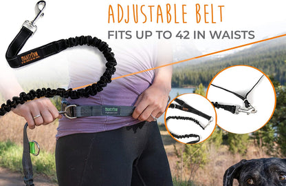 Hands-Free Bungee Dog Leash for Walking and Running - Adjustable Waist Belt (36" - 48") for Large, Medium & Small Breeds, Supports Up to 150 lbs - Black