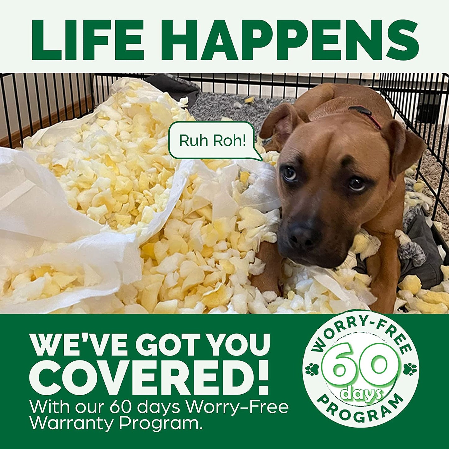 Replacement Dog Bed Cover - Plush Velvet Sofa-Style, Machine Washable, Celadon Green, Jumbo Plus (XX-Large)