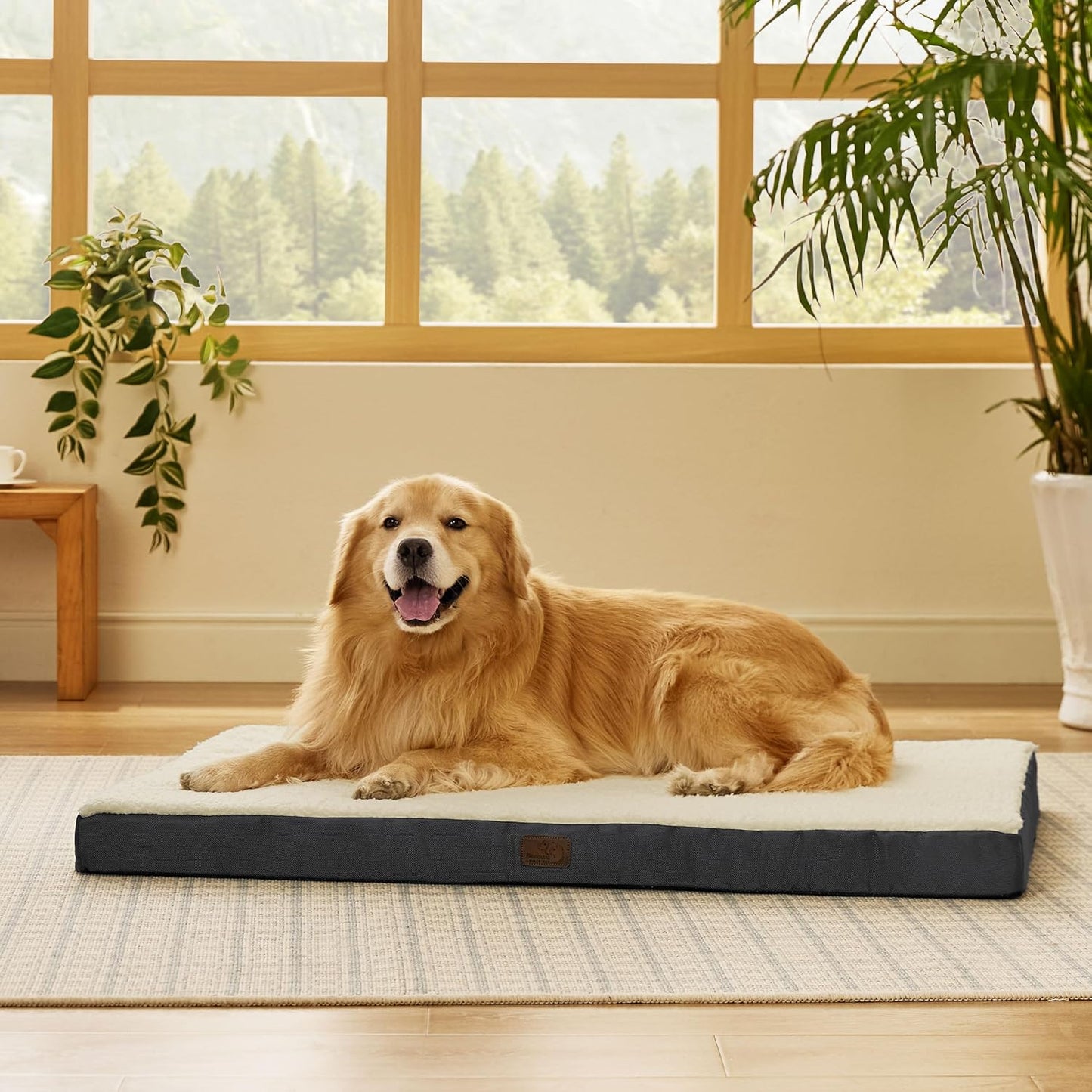 Extra Large Orthopedic Dog Bed - Comfortable Flat Pet Bed with Removable Washable Cover and Egg Crate Foam, Ideal for Pets Up to 100 lbs
