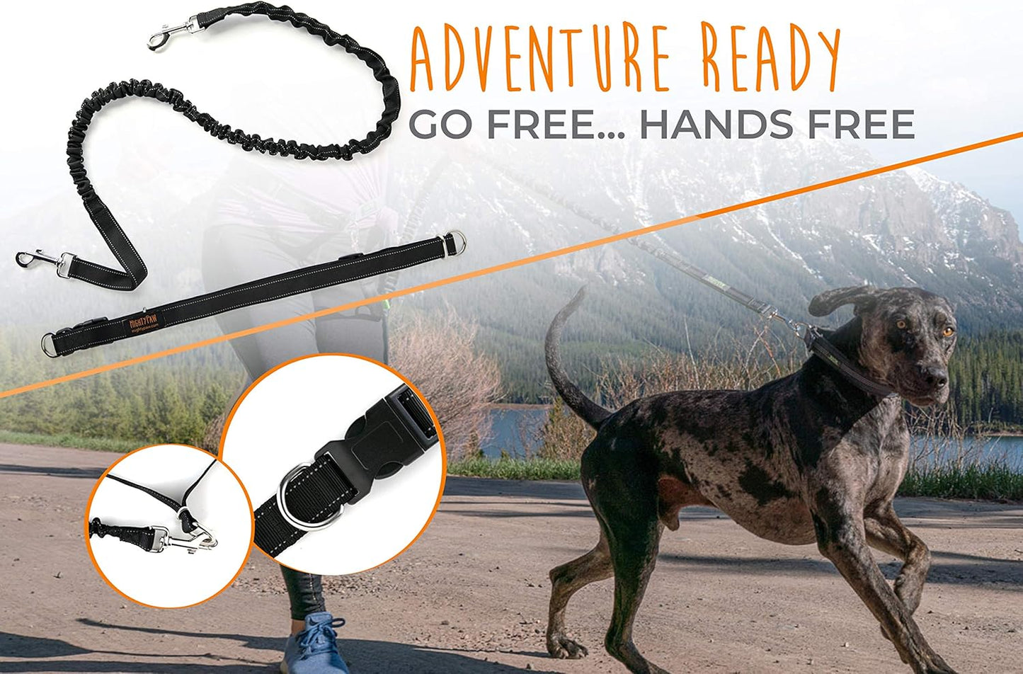 Hands-Free Bungee Dog Leash for Walking and Running - Adjustable Waist Belt (36" - 48") for Large, Medium & Small Breeds, Supports Up to 150 lbs - Black
