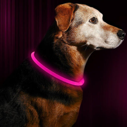 USB Rechargeable LED Dog Collar for Enhanced Night Safety - Stylish Glowing Collar for Small, Medium, and Large Dogs (Candy Pink)