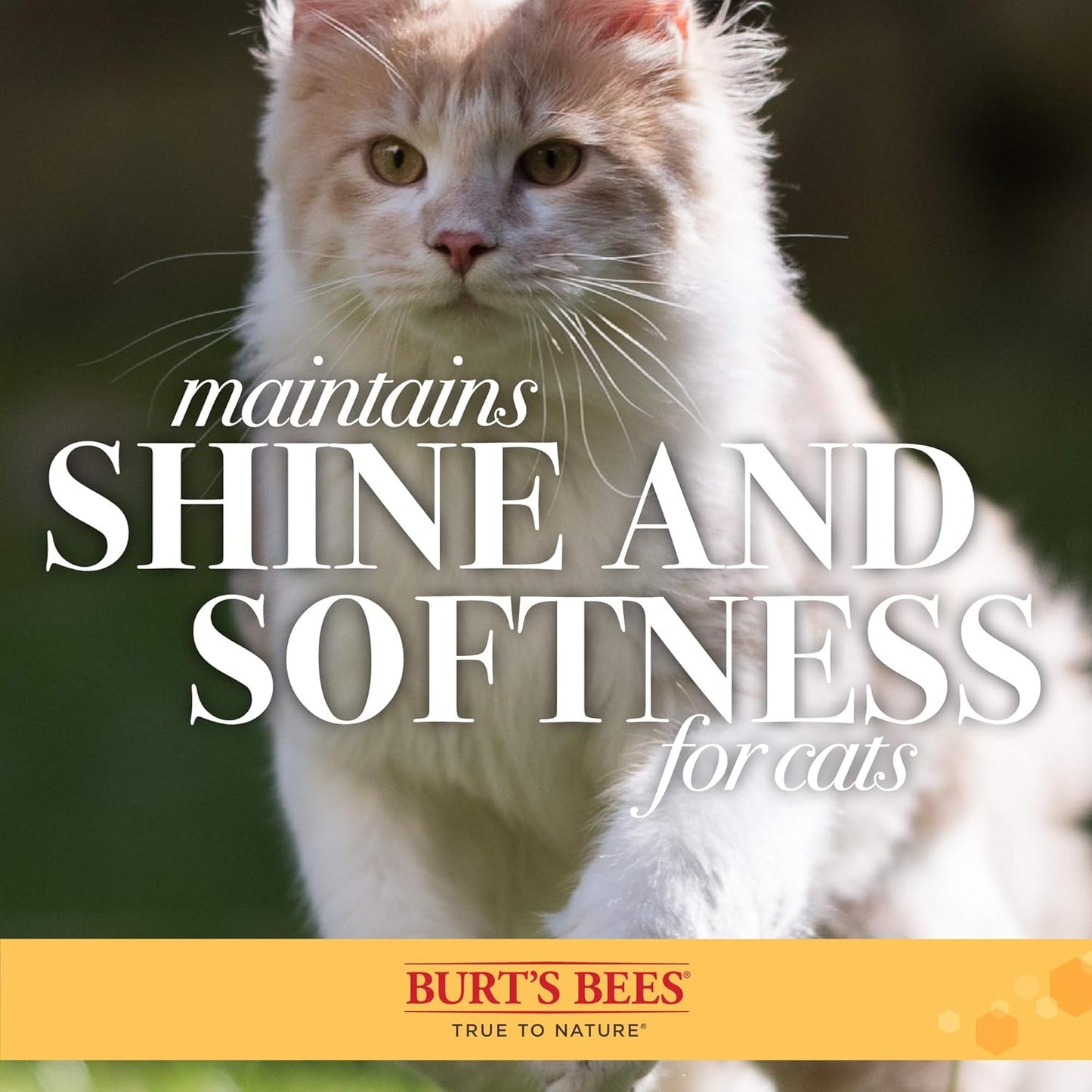 Double-Sided Pin and Bristle Brush for Effective Cat Grooming - Removes Loose Fur and Prevents Matting, Perfect for Daily Use
