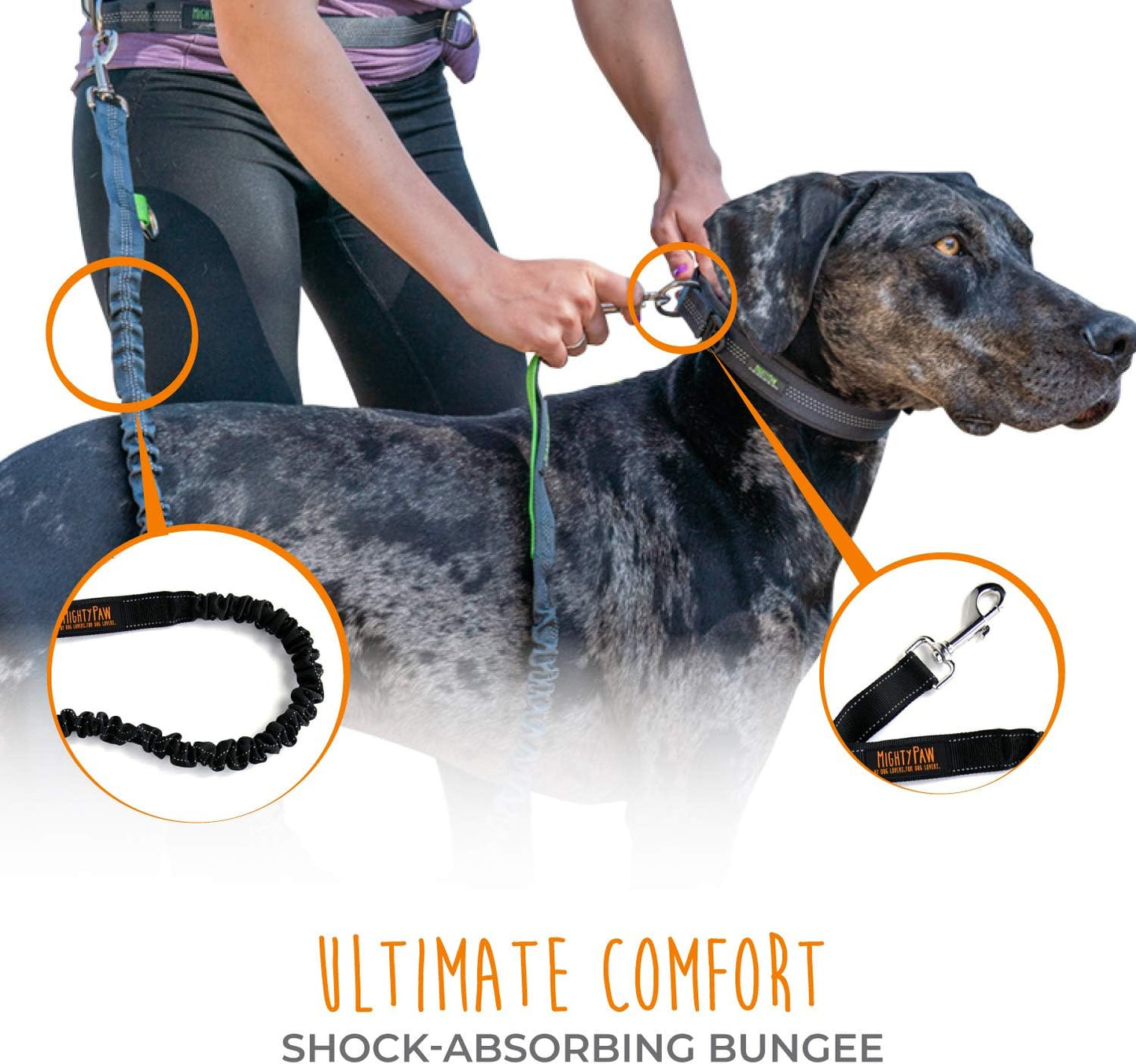 Hands-Free Bungee Dog Leash for Walking and Running - Adjustable Waist Belt (36" - 48") for Large, Medium & Small Breeds, Supports Up to 150 lbs - Black