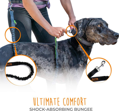 Hands-Free Bungee Dog Leash for Walking and Running - Adjustable Waist Belt (36" - 48") for Large, Medium & Small Breeds, Supports Up to 150 lbs - Black